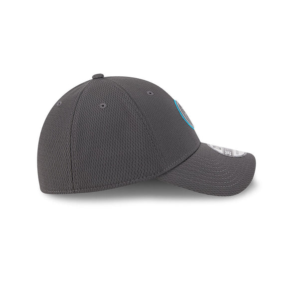 Charlotte Knights 2025 Evergreen 39THIRTY