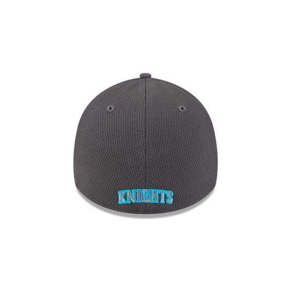 Charlotte Knights 2025 Evergreen 39THIRTY