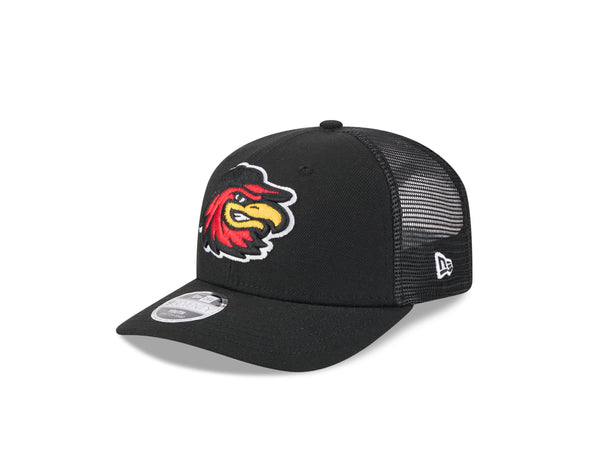 Rochester Red Wings Youth Trucker