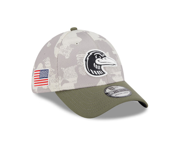 Great Lakes Loons 2025 New Era 39THIRTY Flex Fit Cap