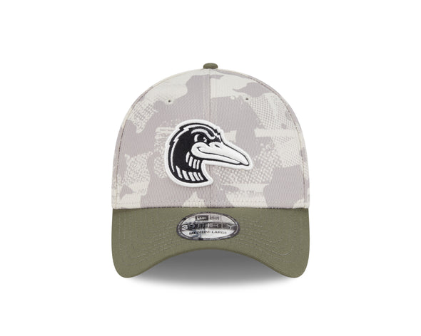 Great Lakes Loons 2025 New Era 39THIRTY Flex Fit Cap
