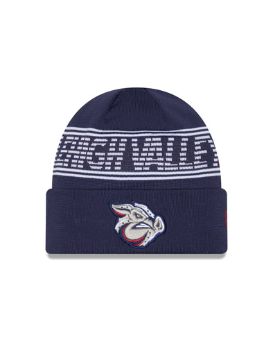 Lehigh Valley IronPigs Authentic Collection New Era Knit Cap