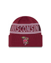 Timber Rattlers New Era 2025 Knit Hat