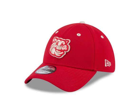 Lehigh Valley IronPigs Retro Fauxback Friday 3930