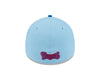 Tampa Tarpons July 4th 2025 3930