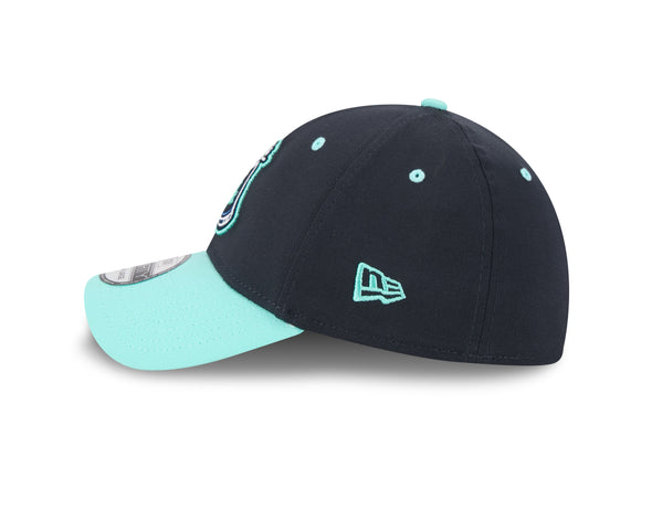 The Asheville Tourists 2025 Beer City 39Thirty New Era