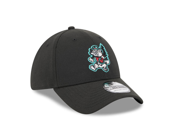 Jersey Shore BlueClaws TNC Shine Barons 39Thirty Stretch Fit Cap