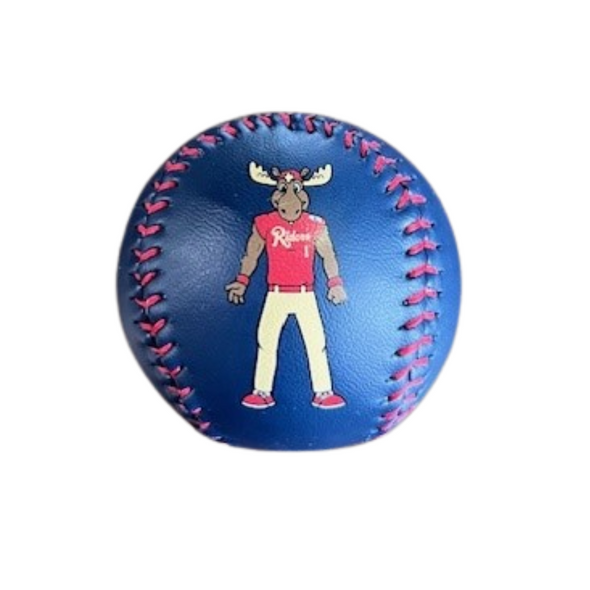 Navy Bull Moose Baseball