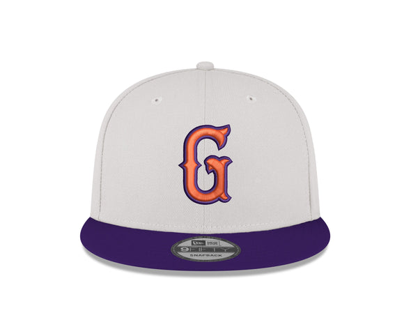 Clemson Reedy River Rivalry G Logo 9Fifty Snapback Hat