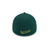 Altoona Curve Online Exclusive New Era 39Thirty Rail Kings