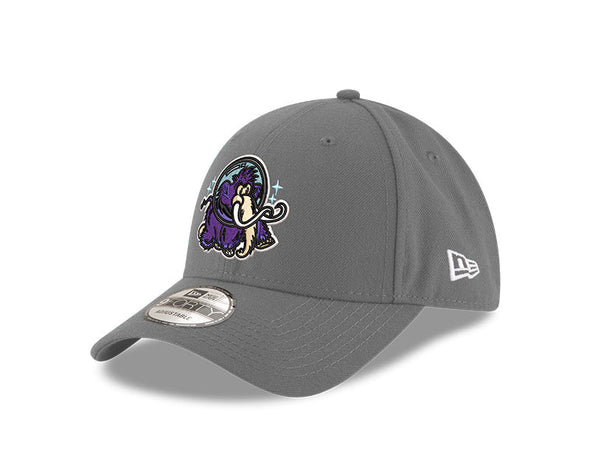 Erie SeaWolves NEC Moon Mammoths 9FORTY Adjustable Cap