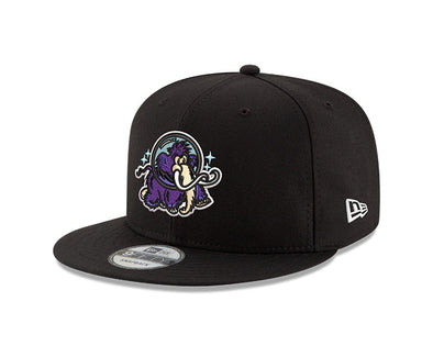 Erie SeaWolves NEC Moon Mammoths 9FIFTY Adjustable Snapback Cap