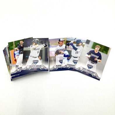 '22 HVR Original Team Card Set (Incl'd 9 Major Leaguers!) [SALE]