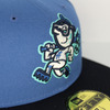 FINAL SALE The Asheville Tourists Alternate On Field New Era Cap