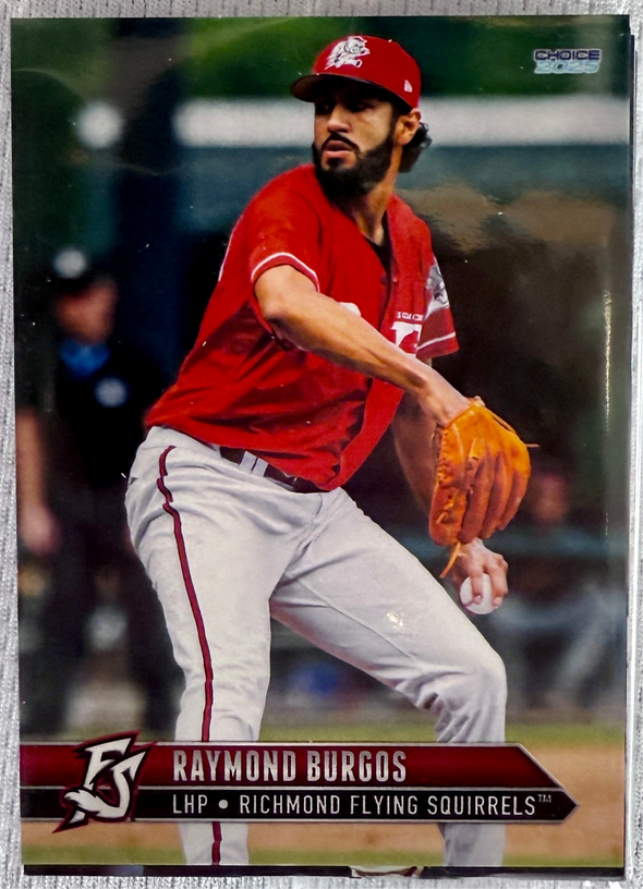 Richmond Flying Squirrels 2025 Update Team Set