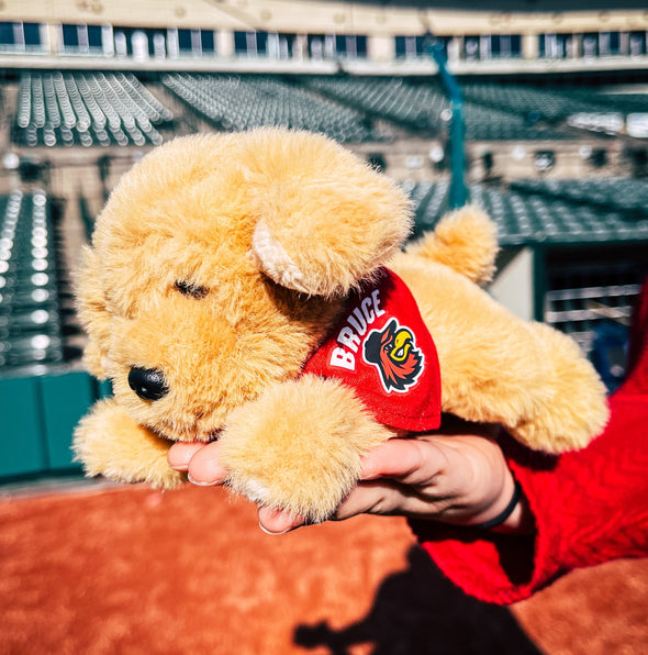 Rochester Red Wings Baby Bruce Plush