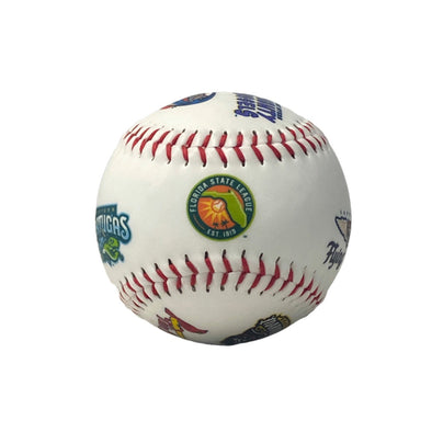 Florida State League All Team Baseball