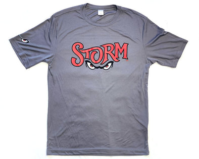 Lake Elsinore Storm New Wordmark Performance Tee - Grey