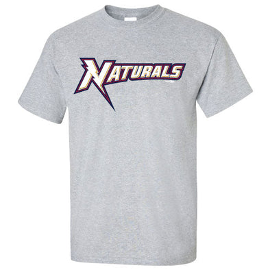 Adult Wordmark Logo Tee Gray