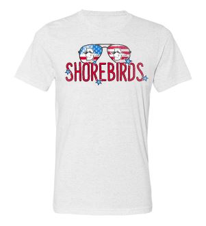 Delmarva Shorebirds 108 Stitches America Tee