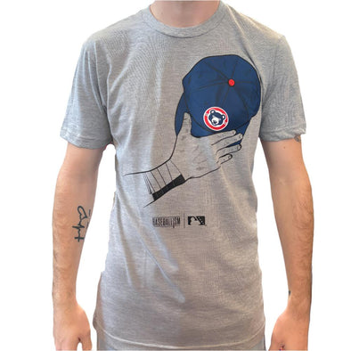 South Bend Cubs Baseballism Anthem T-Shirt