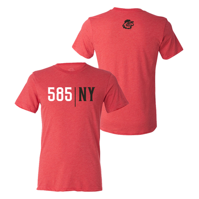 108 Stitches Red Wings Area Code Tee