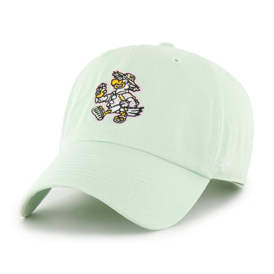 Clean Up-Aloe Biloxi Beach Chickens