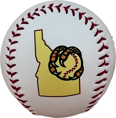 BOISE HAWKS STATE LOGO BASEBALL