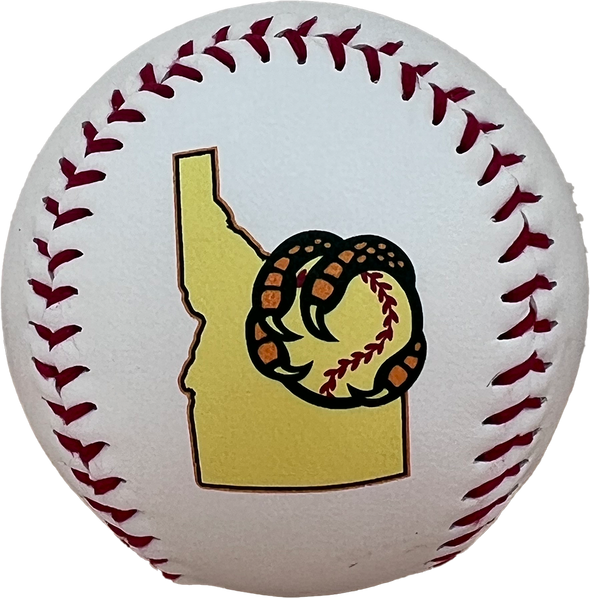 BOISE HAWKS STATE LOGO BASEBALL