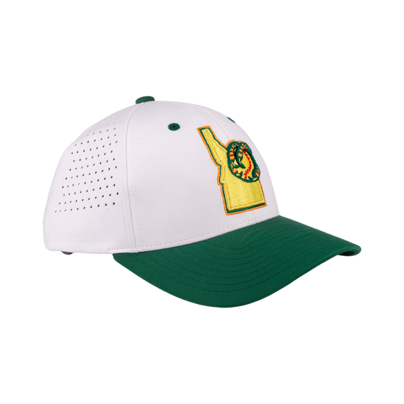BOISE HAWKS ADVENT FLEX FIT HAT