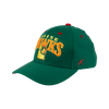 BOISE HAWKS PICKLE FLEX FIT HAT