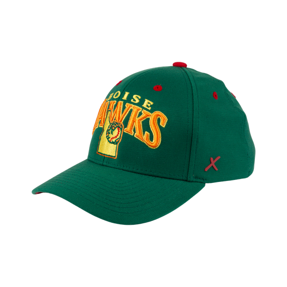 BOISE HAWKS PICKLE FLEX FIT HAT