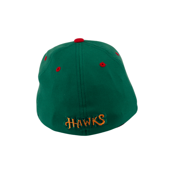 BOISE HAWKS PICKLE FLEX FIT HAT