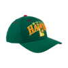 BOISE HAWKS PICKLE FLEX FIT HAT