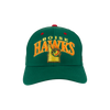 BOISE HAWKS PICKLE FLEX FIT HAT