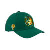 BOISE HAWKS AUTHENTIC ON-FIELD HOME FLEX FIT HAT