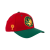 BOISE HAWKS ON-FIELD BP HAT