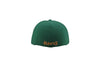 BOISE HAWKS HOME FLEX FIT HAT, GREEN