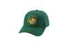 BOISE HAWKS HOME FLEX FIT HAT, GREEN