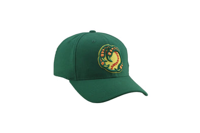 BOISE HAWKS HOME FLEX FIT HAT, GREEN