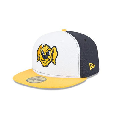 Charleston RiverDogs 2025 BP Cap