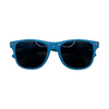 Beloit Sky Carp Sunglasses