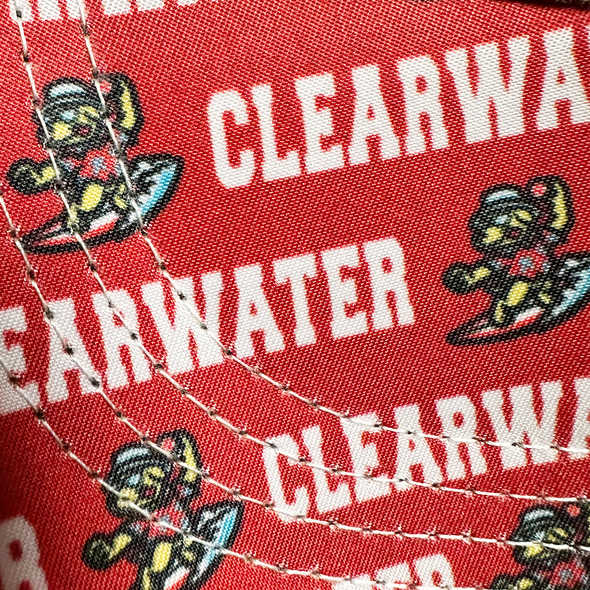 Clearwater BeachDogs Bimm Ridder Draw Cap