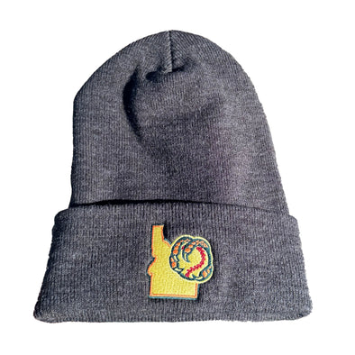 BOISE HAWKS STATE LOGO KNIT HAT