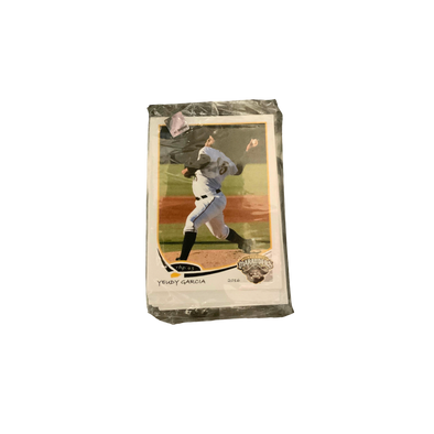 Bradenton Marauders 2016 Team Card Set