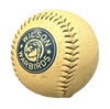 Wilson Warbirds Rawlings Primary Logo Baseball