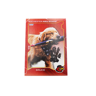 Rochester Red Wings Bruce Pawtographed Card