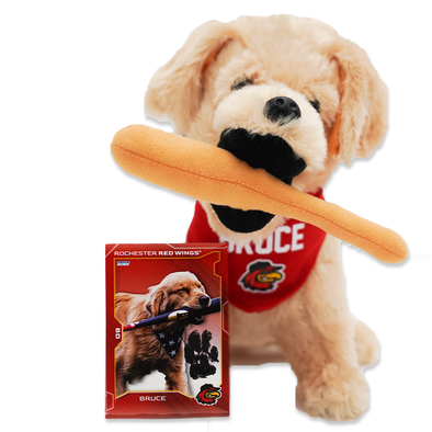 Bruce Plush and Trading Card Bundle