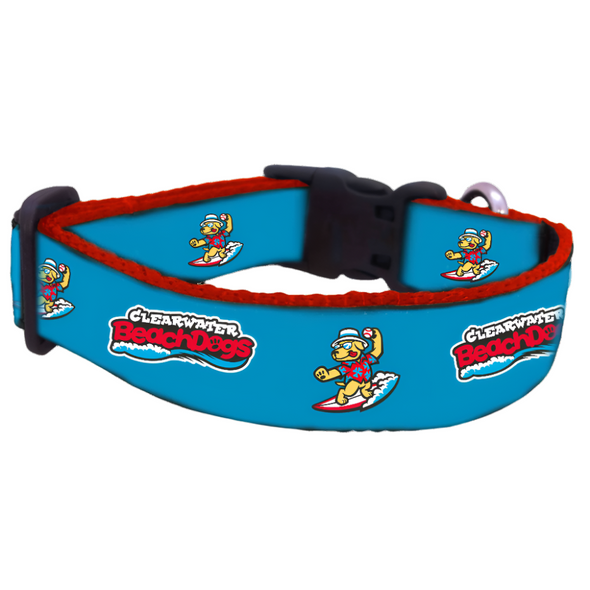 Clearwater BeachDogs All Star Dog Collar