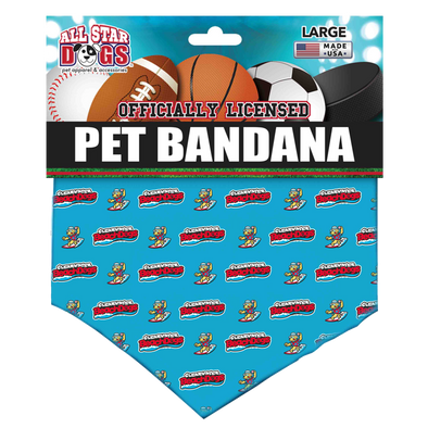 Clearwater BeachDogs All Star Dog Bandana